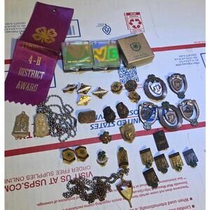 Vintage 1960s 70s 4-H Club Pins, Badges, and Award Ribbon Collection